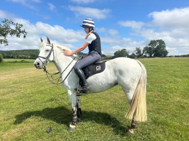 145cm 8yo Event Pony