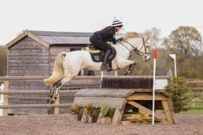 145cm 8yo Event Pony