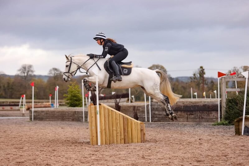 145cm 8yo Event Pony