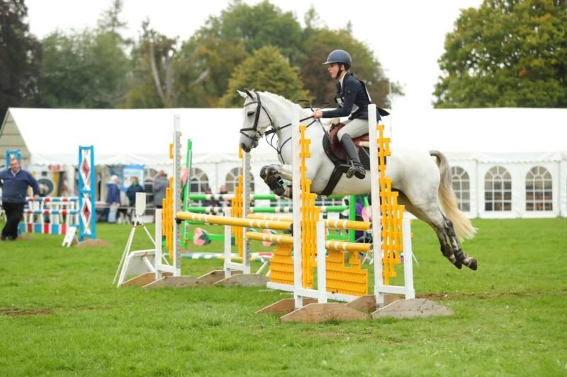 145cm 8yo Event Pony