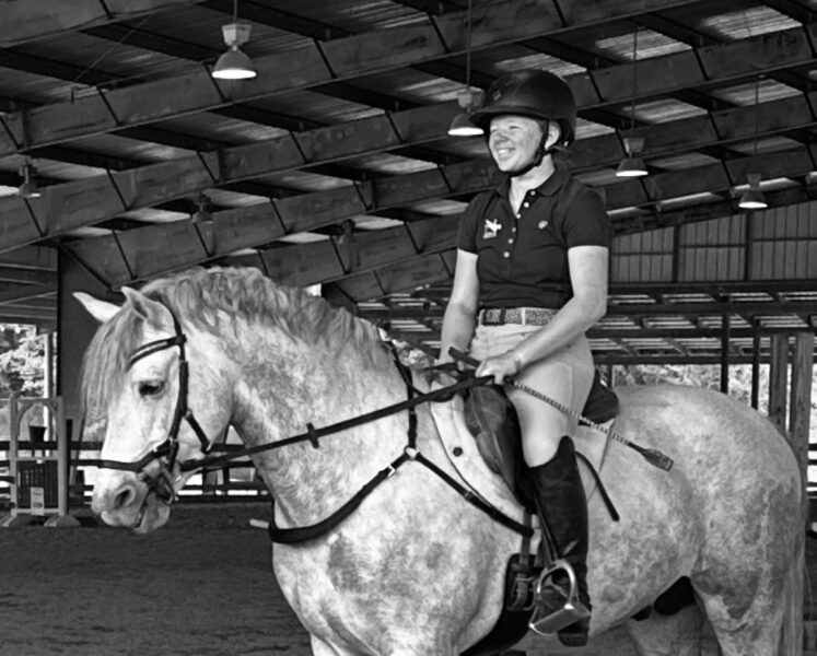 Lovely young Connemara eventing stallion
