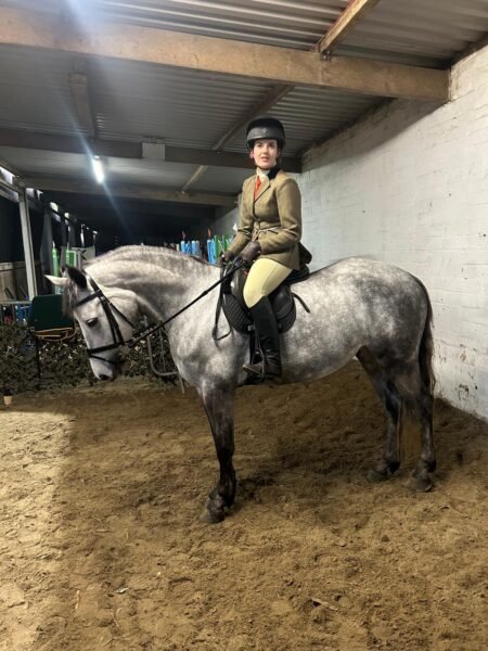 I Love You Melody 148cm 5-Year-Old Mare