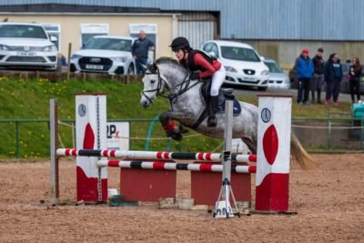 I Love You Melody 148cm 5-Year-Old Mare