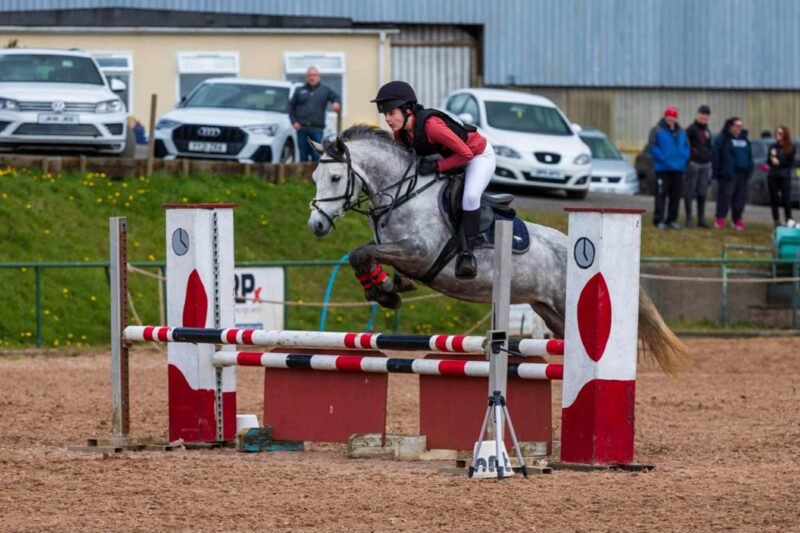 I Love You Melody 148cm 5-Year-Old Mare