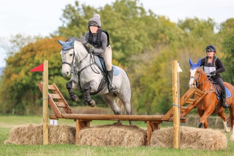 148cm Gwennic de Goariva Mare