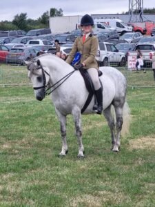 Talented 7 yr old 13.2hh gelding