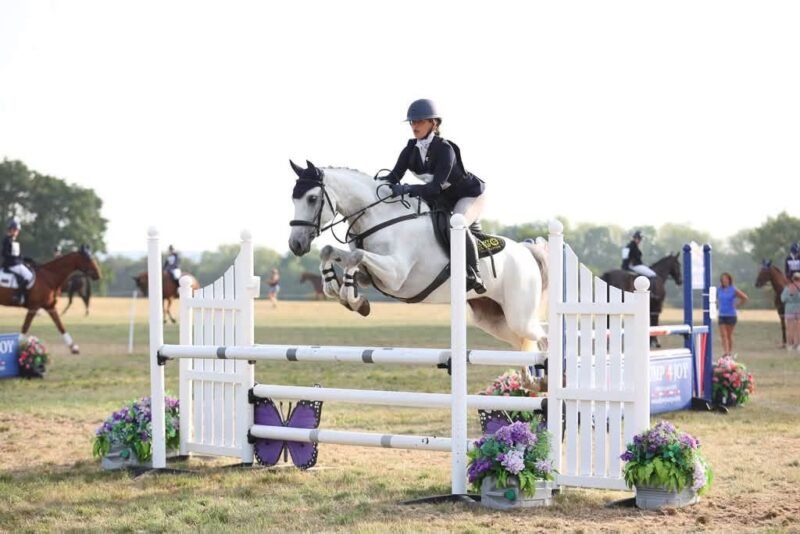Romeo - I Love You Melody Schoolmaster