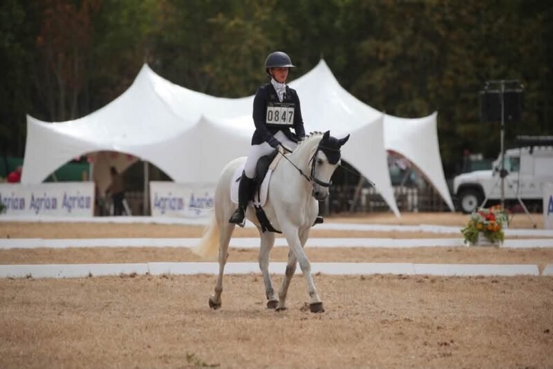 Romeo - I Love You Melody Schoolmaster