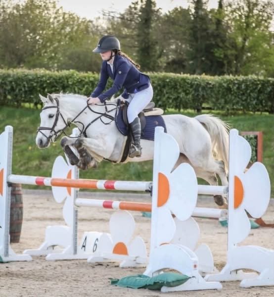 138cm SJI Connemara Mare