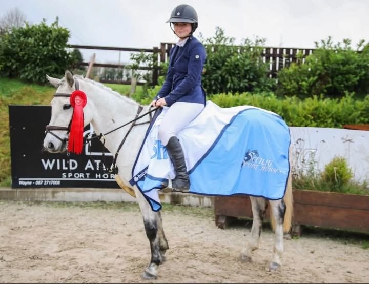 138cm SJI Connemara Mare