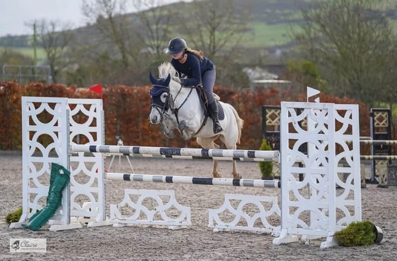 138cm SJI Connemara Mare