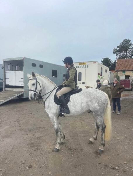 Super 14.2hh Pony Club Allrounder