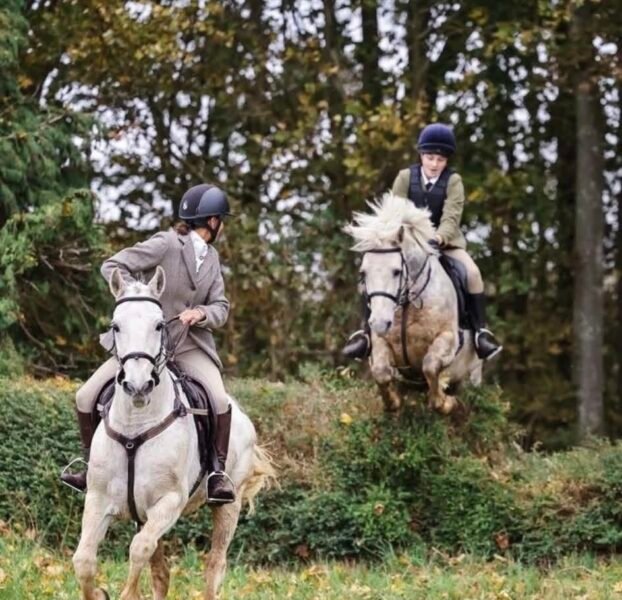 Super 14.2hh Pony Club Allrounder