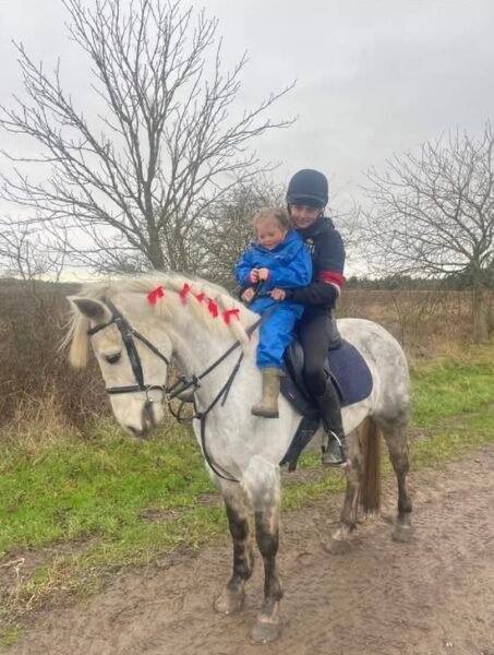 Super 14.2hh Pony Club Allrounder