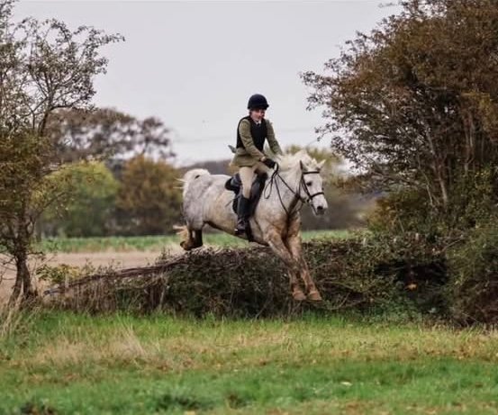 Super 14.2hh Pony Club Allrounder