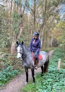 🍀 PADDY 🍀 14.2hh | 5yrs | Registered Connemara Gelding | N/HWSD
