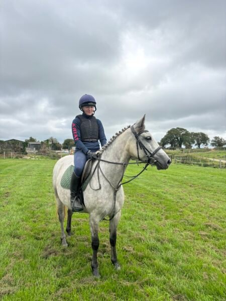 Beautiful 14.1h Connemara Pony