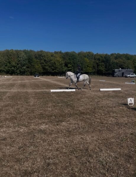 148cm Gwennic de Goariva Mare