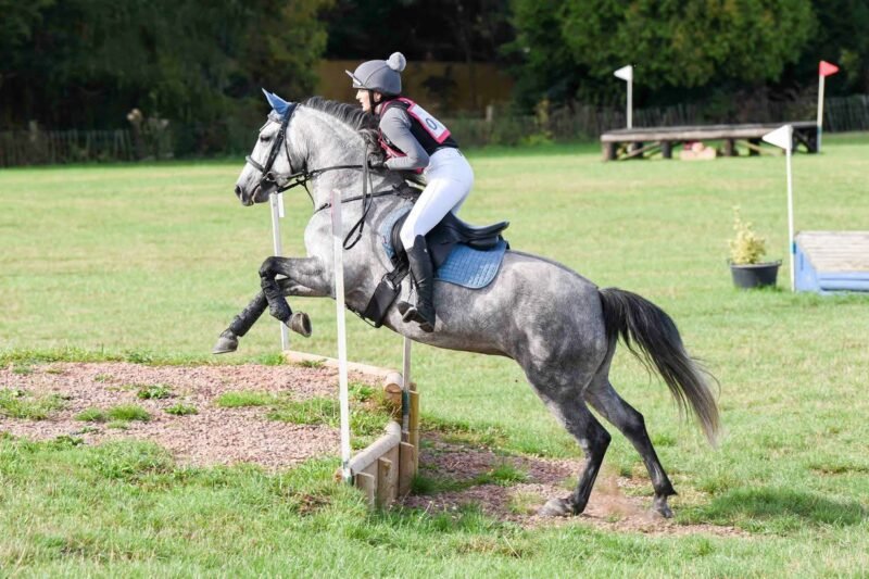 148cm Gwennic de Goariva Mare