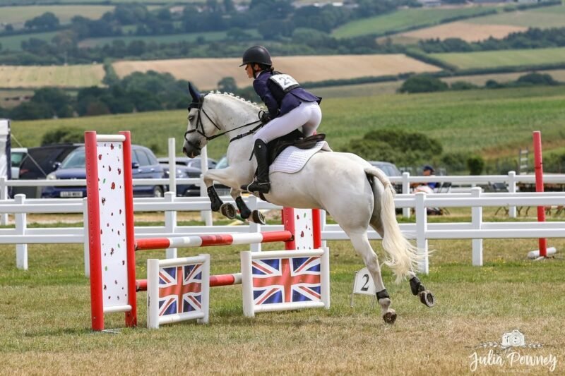 Fabulous 14hh Connemara