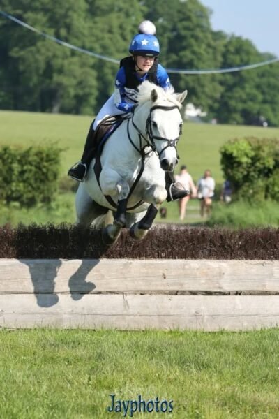 Fabulous 14hh Connemara