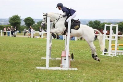 Fabulous 14hh Connemara