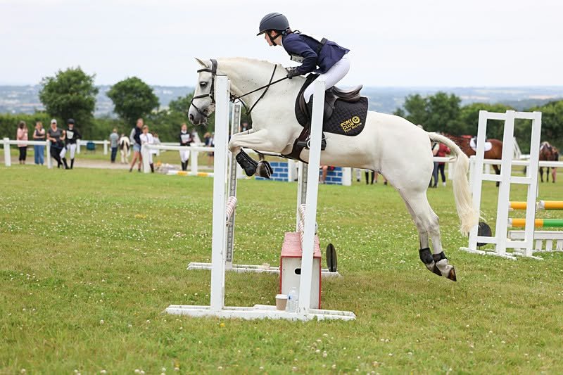 Fabulous 14hh Connemara